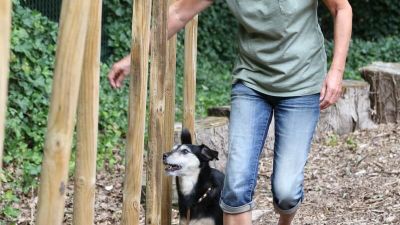 Naturparcours-01.jpg