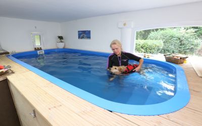 Schwimmtherapie im Indoor-Becken